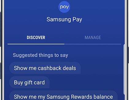 Other Voice Commands in Samsung Pay