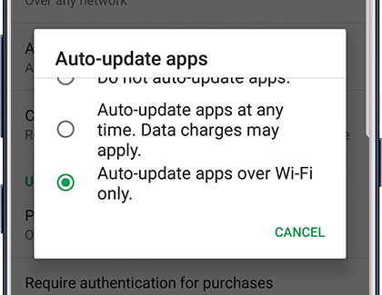 Turn on Auto-update apps in Play Store