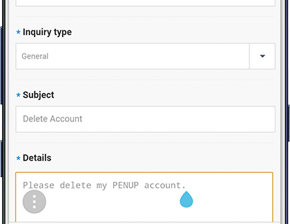 Permanently Delete PENUP Account