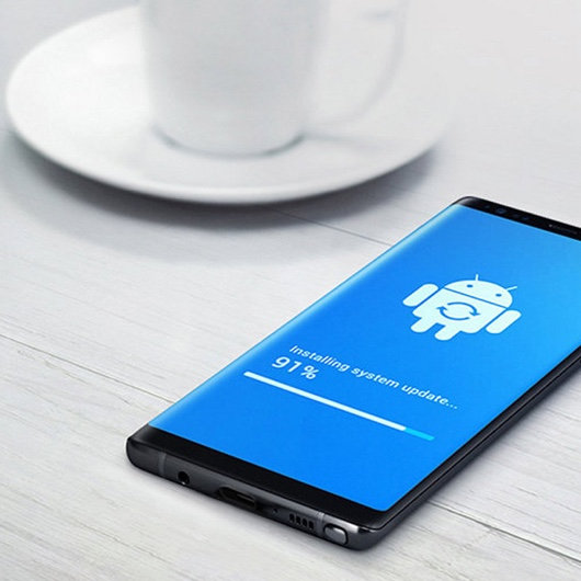 Samsung FOTA