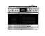 48 Inch Dual-Fuel Steam Range