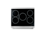 30 Inch Induction Range