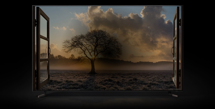 QLED 8K TV that has new TV technology and big-screen up to 85 inch delivers the reality of nature.