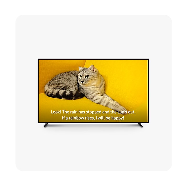 Subtitle Subtitles for a TV program are shown over a simulated display.