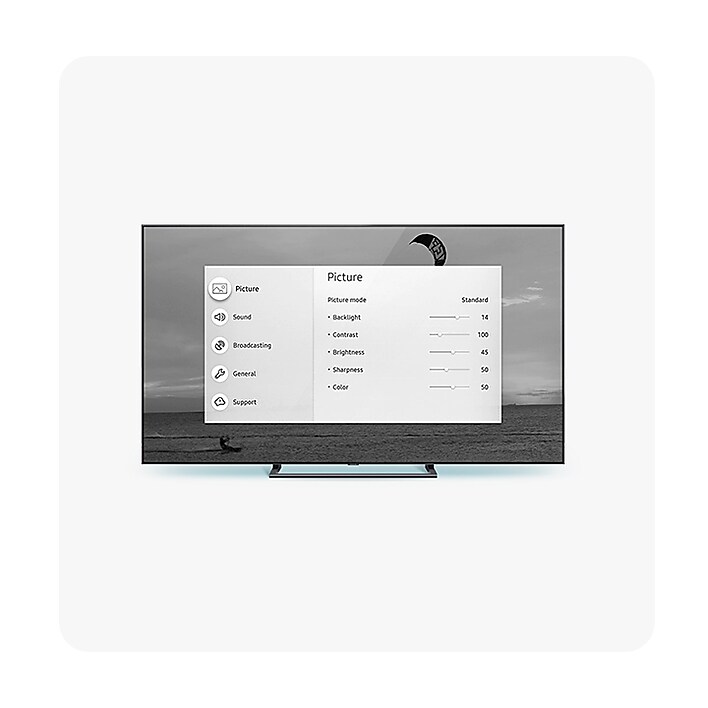 Grayscale A black and white tone is applied to both the open Picture settings window and the TV program being played on a simulated display.
