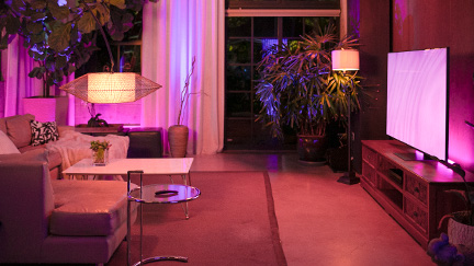 Smart Lighting Controls