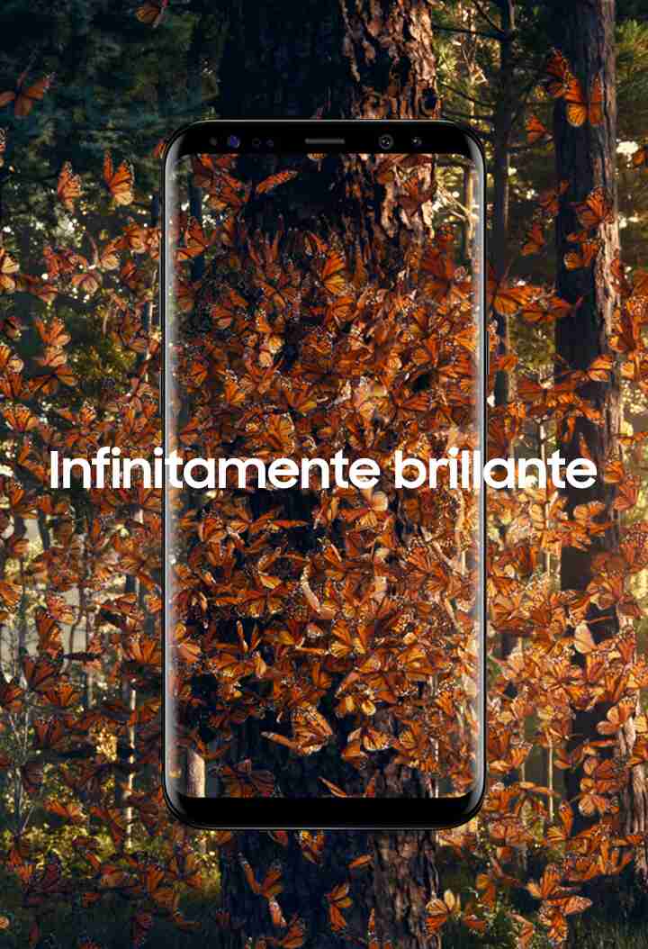 Imagen de mariposas en la pantalla Infinity del Samsung Galaxy S8 Infinity Imagen de mariposas en la pantalla Infinity del Samsung Galaxy S8 Infinity
