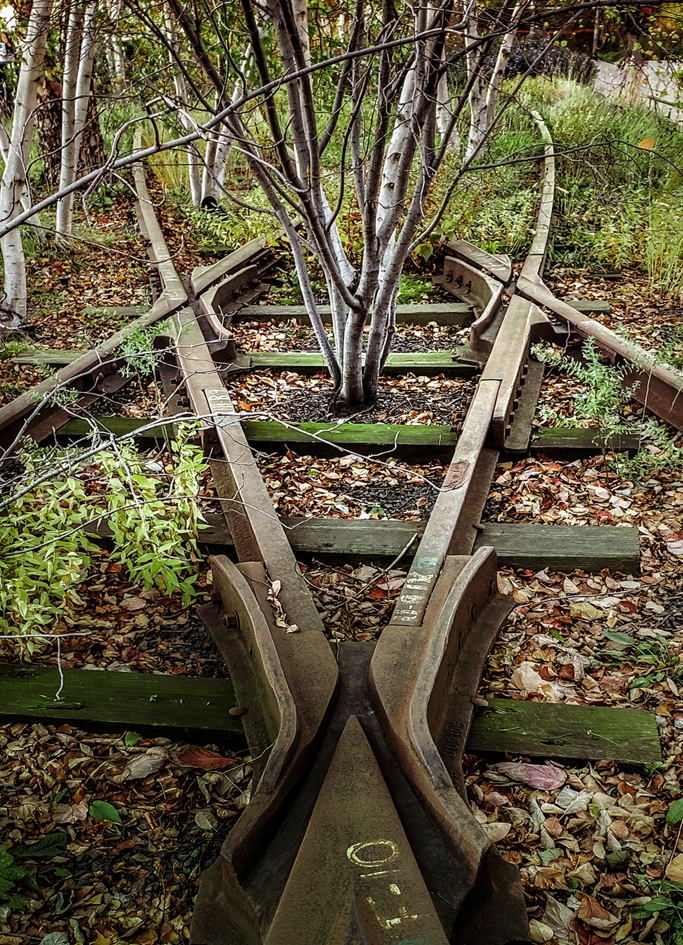 Ancient New York railway tracks shot on a Samsung Galaxy phone, demonstrating the cool color tempature of the photo