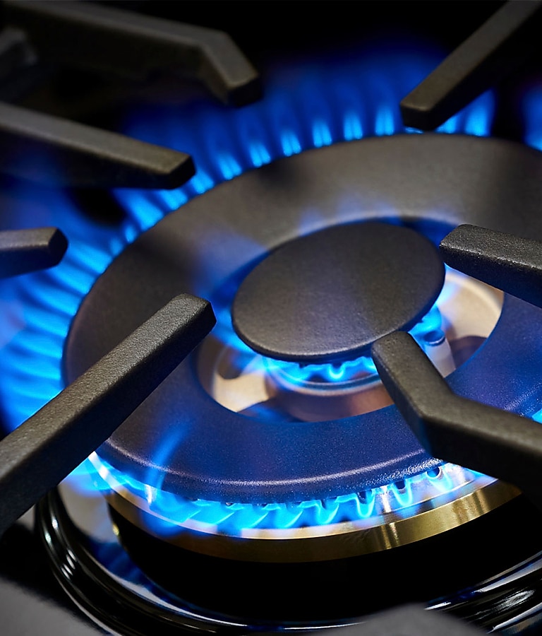 22K Dual Power Burner