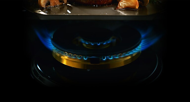 22K Dual Power Burner 22K Dual Power Burner