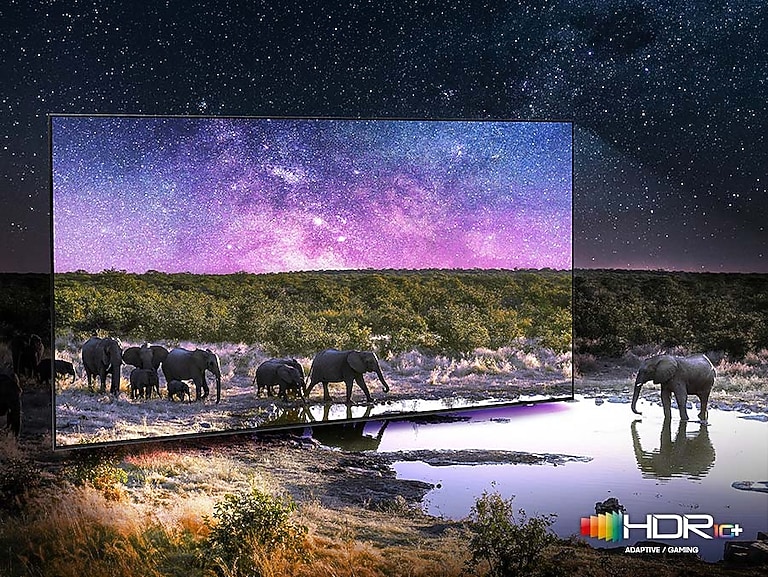 High 4K Resolution