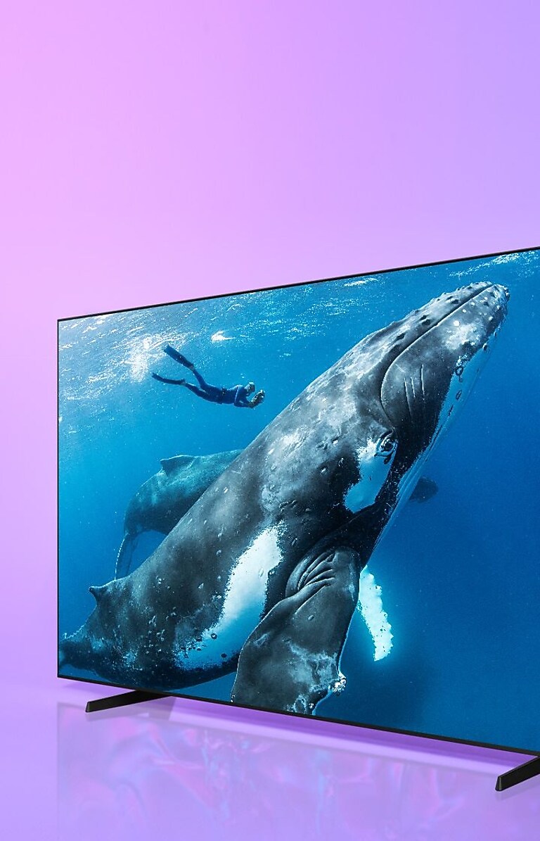 A big beautiful picture for everyday viewing A big beautiful picture for everyday viewing