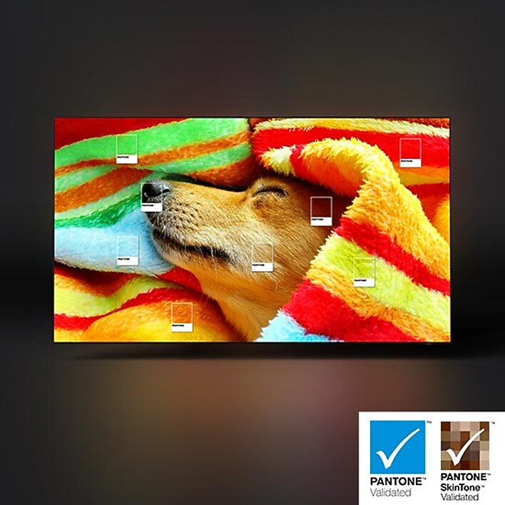 Expert-validated colors Expert-validated colors