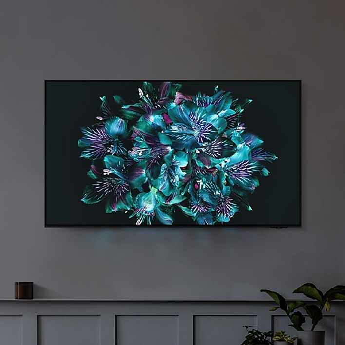 Professionally calibrated picture quality Professionally calibrated picture quality