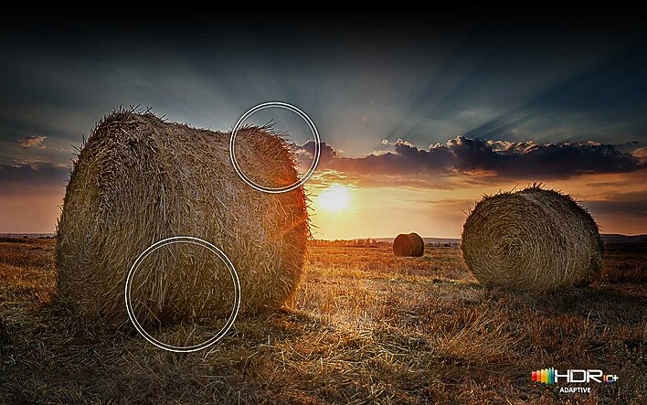 See the creator’s vision See the creator’s vision