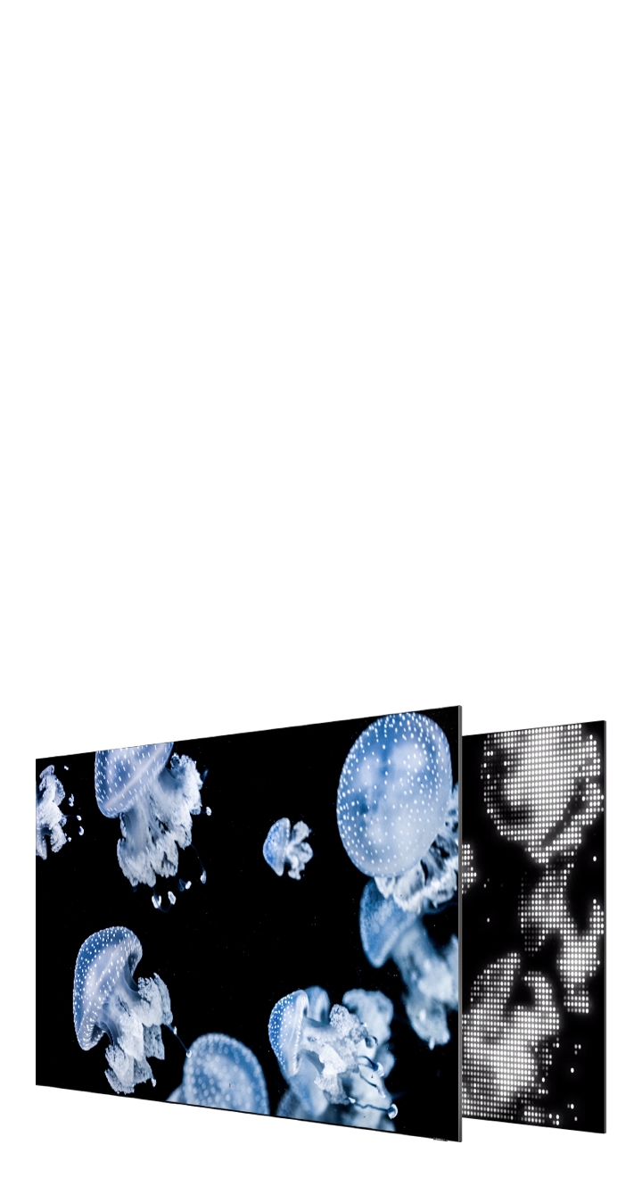 Samsung QLED is showing clearer shiny jellyfish in the deep dark sea using backlight control and direct full array 32x technology which allows QLED to show deeper black colors.