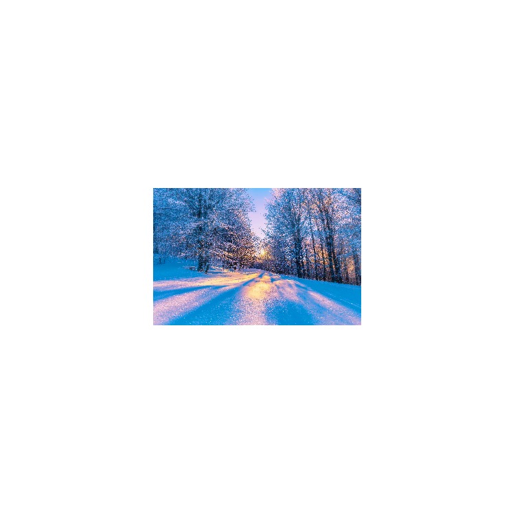 Image Article Image