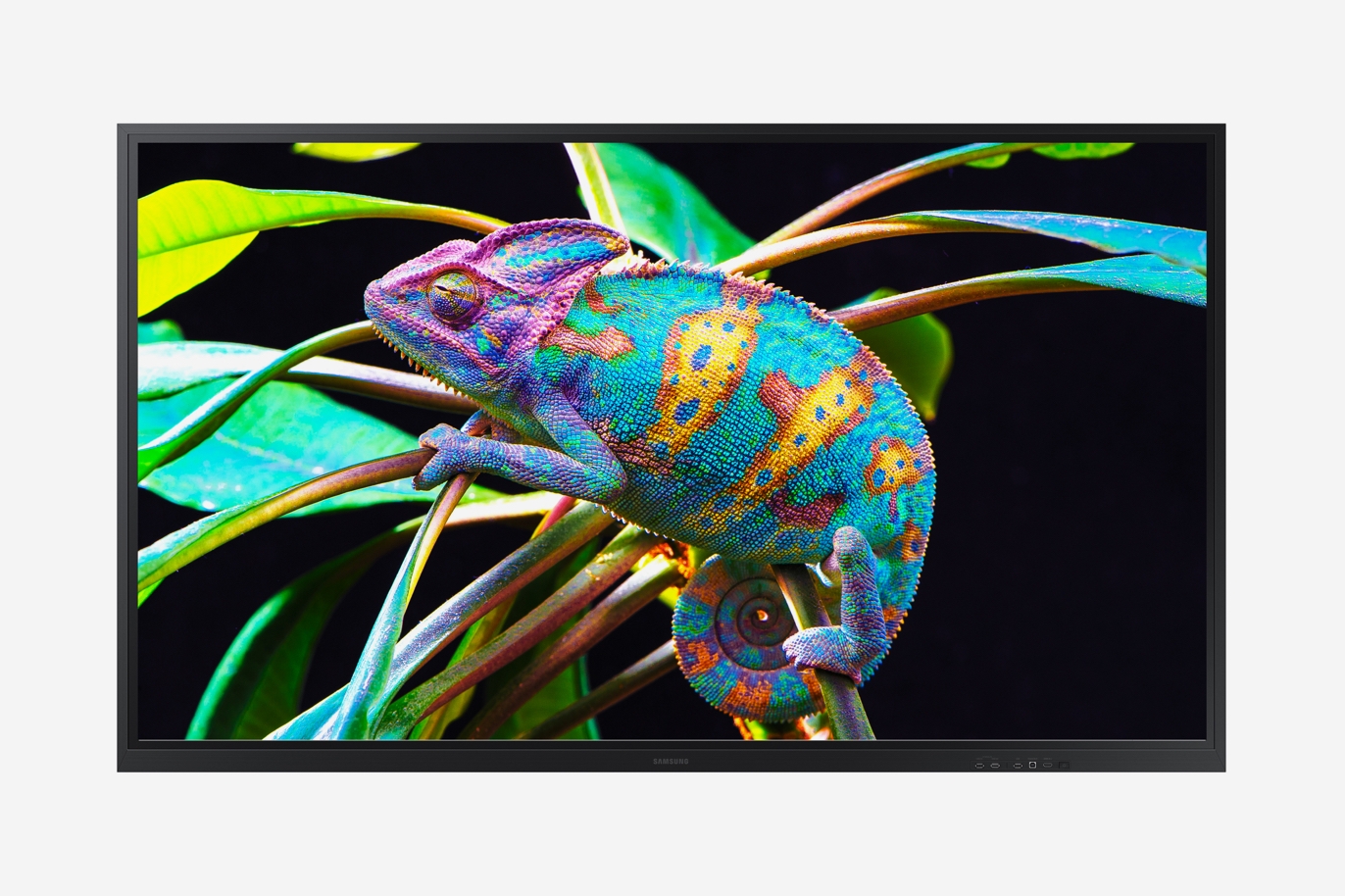 4K UHD interactive display 4K UHD interactive display