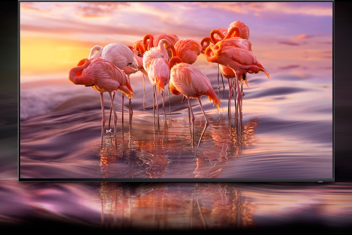 QLED display QLED display