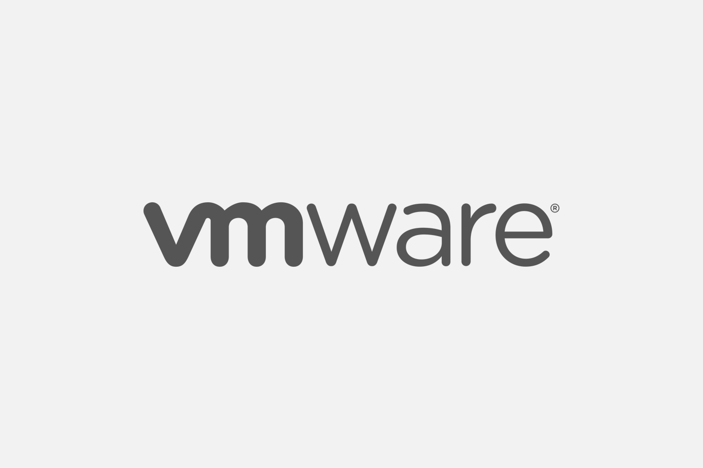 VMware VMware