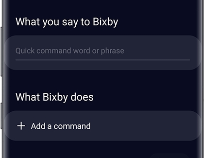 Custom command options Custom command options