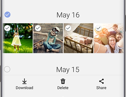 Images selected with Download, Delete, and Share option at bottom Images selected with Download, Delete, and Share option at bottom