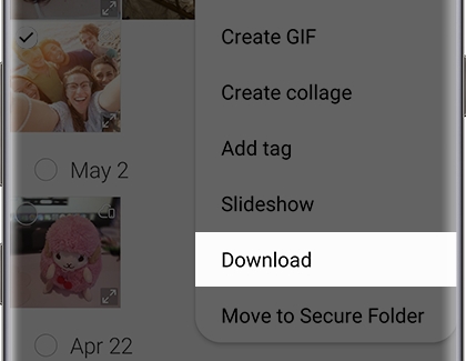 Download option displayed in Gallery Download option displayed in Gallery