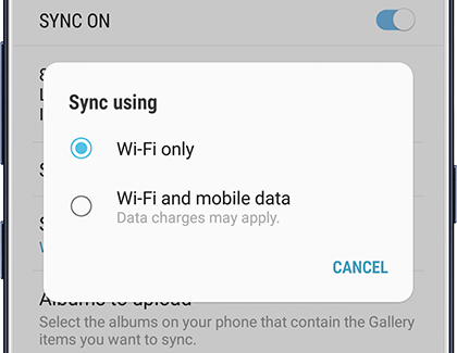 Sync Using Wi-Fi or Mobile Data