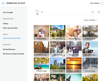 Download or Delete files in Samsung Cloud Drive