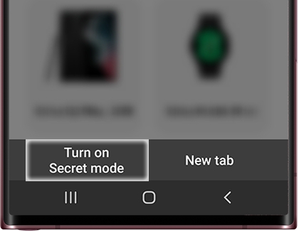 Turn on Secret mode highlighted in the Samsung Internet app
