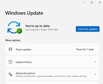 Windows Update screen with Check for updates button