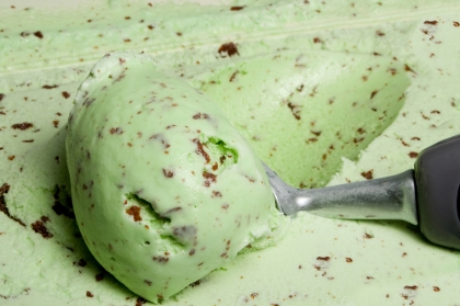 Mint Chocolate Chip Ice Cream