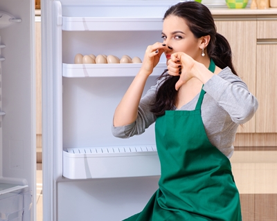 odor in the refrigerator odor in the refirgerator