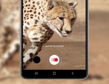 Super slow-mo on running cheetah Super slow-mo on running cheetah