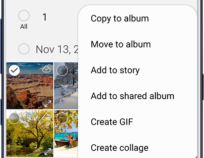 Move to album option in Gallery Move to album option in Gallery