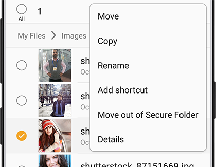 Remove Files from Secure Folder Remove Files from Secure Folder