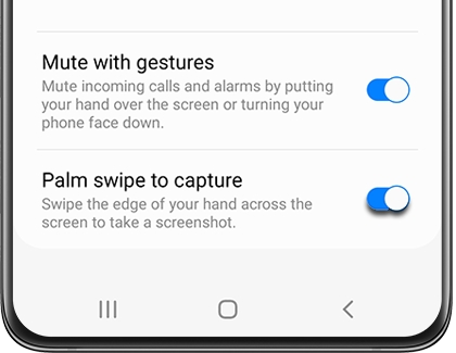 Switch highlighted next to Palm swipe to capture