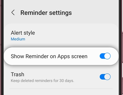 Show Reminder on Apps screen switched on