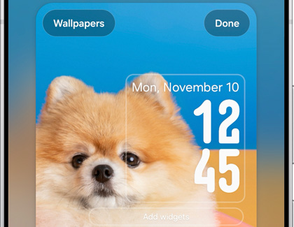 Galaxy S25 Ultra displaying the Lock screen customization screen with a pet wallpaper and clock widget shown in Stretch Clock style.