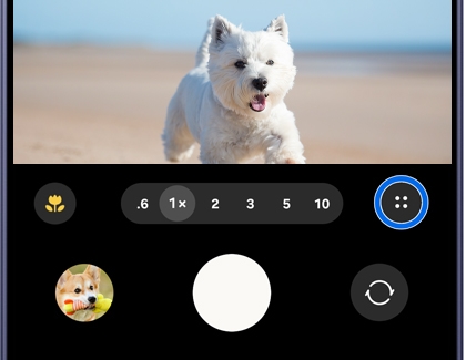 A Galaxy phone camera screen showing a dog on a beach with the four dots icon highlighted in a blue circle.