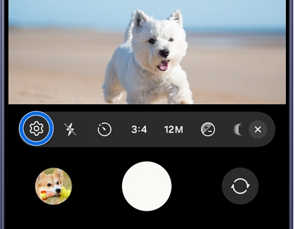 A Galaxy phone camera screen showing a dog on a beach with the settings gear icon highlighted in a blue circle.