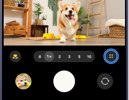 A Galaxy phone camera screen showing a corgi dog indoors with the four dots icon highlighted in a blue circle.