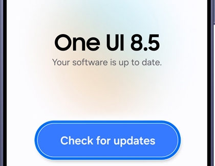 Software update screen with the Check for updates option highlighted.