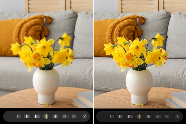 Comparison of a close-range blurry image vs. a focused distant object.