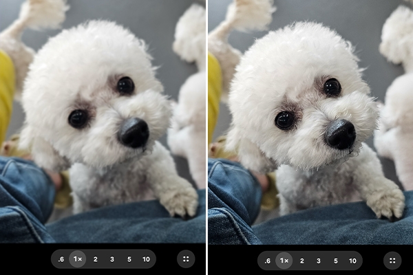 Comparison of the results with vs. without camera protector.