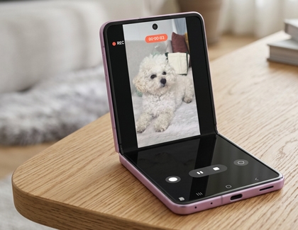 A pink Galaxy Z Flip8 displayed standing partially folded on a table recording a white dog on the main screen.
