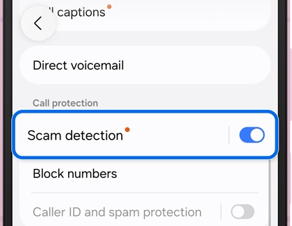 A Galaxy phone showing the Scam detection settings screen with the On toggle switch highlighted in blue and turned on.