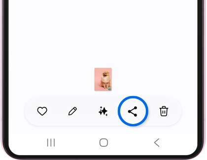 A Galaxy phone screen showing a small dog image in the gallery, with the share icon highlighted.