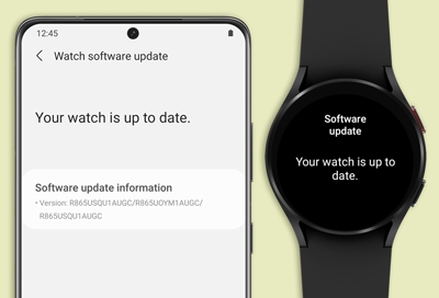 Samsung watch 2024 app store