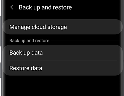 Back up and restore menu in the Galaxy Wearable app Back up and restore menu in the Galaxy Wearable app